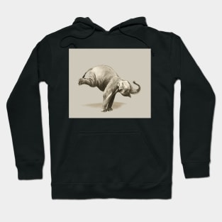 Circus Series Handstand Elephant Hoodie